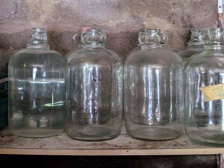 Grolsch Bottles and Demi John's for Home-brewing 