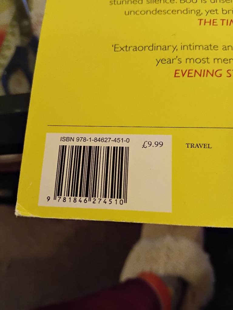 Behind the Beautiful Forevers