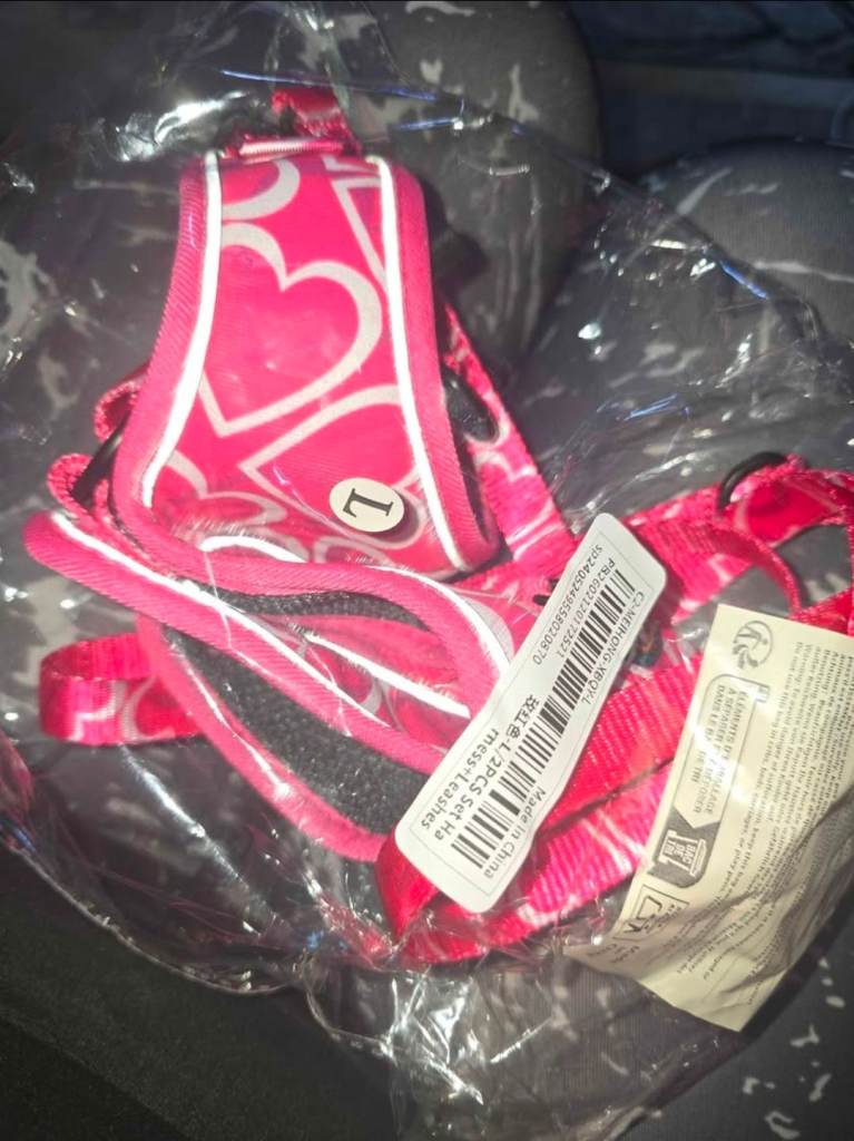 Dog harness BRAND NEW