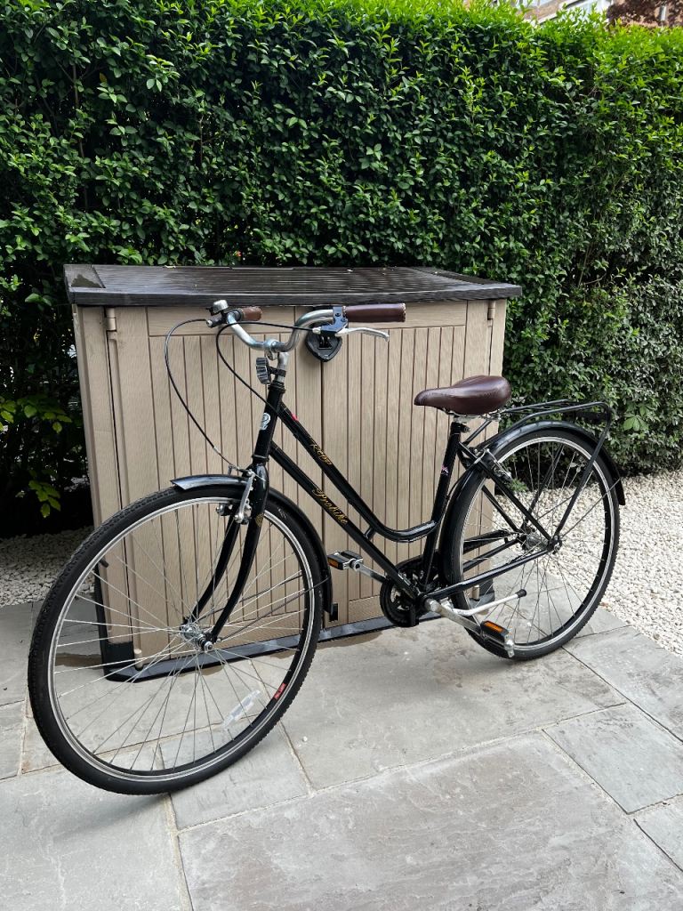 Dutch style city bike