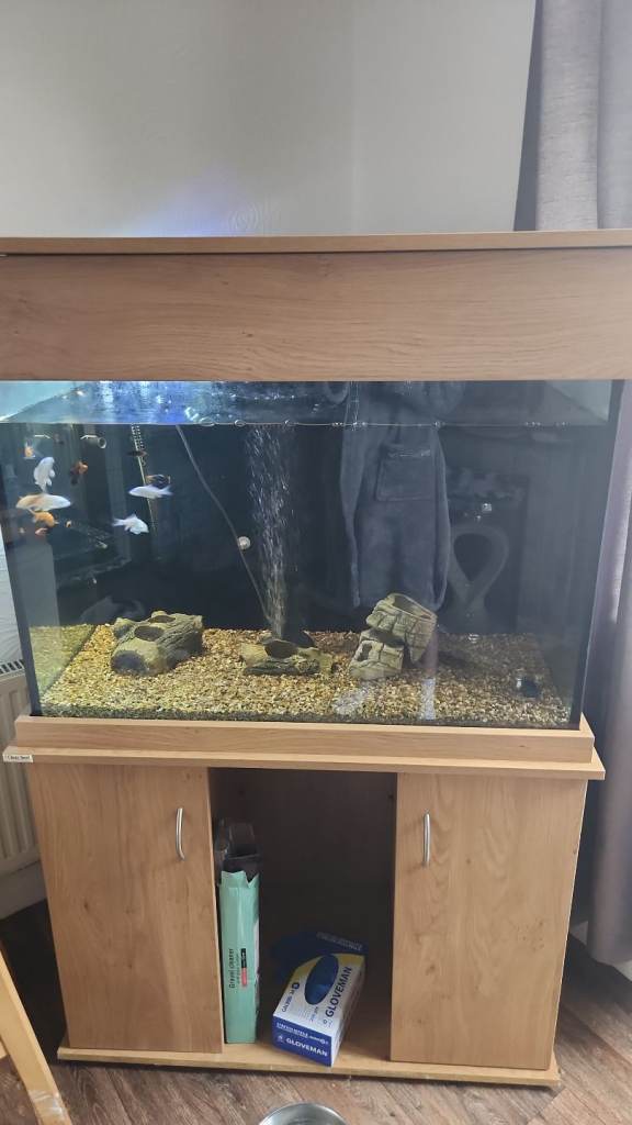 Fish tank 