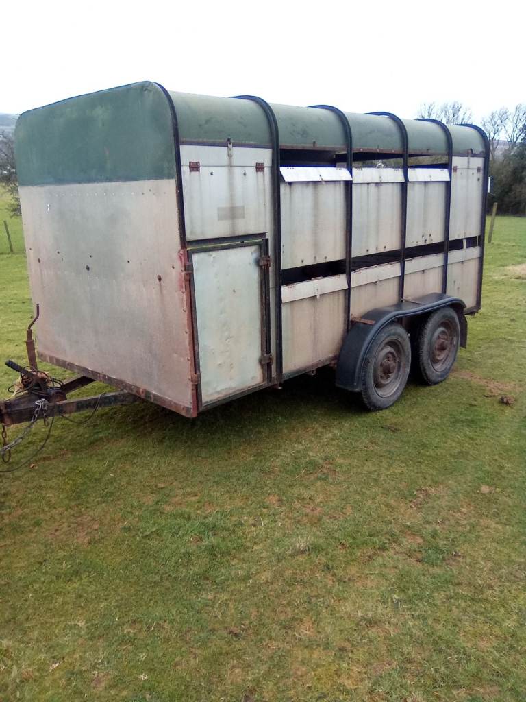 Large livestock trailer 
