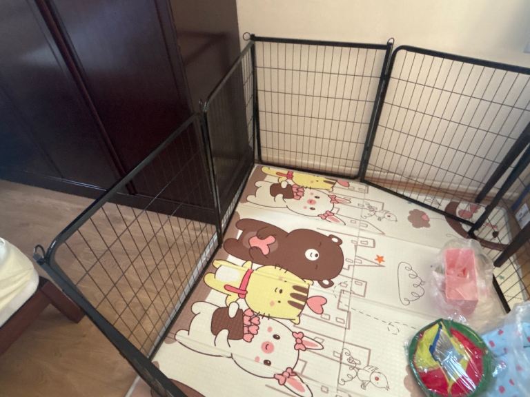 Dog fence