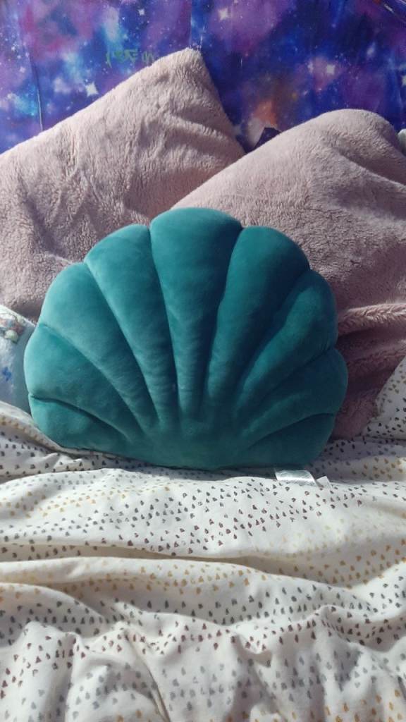 Turquoise seashell cushion!