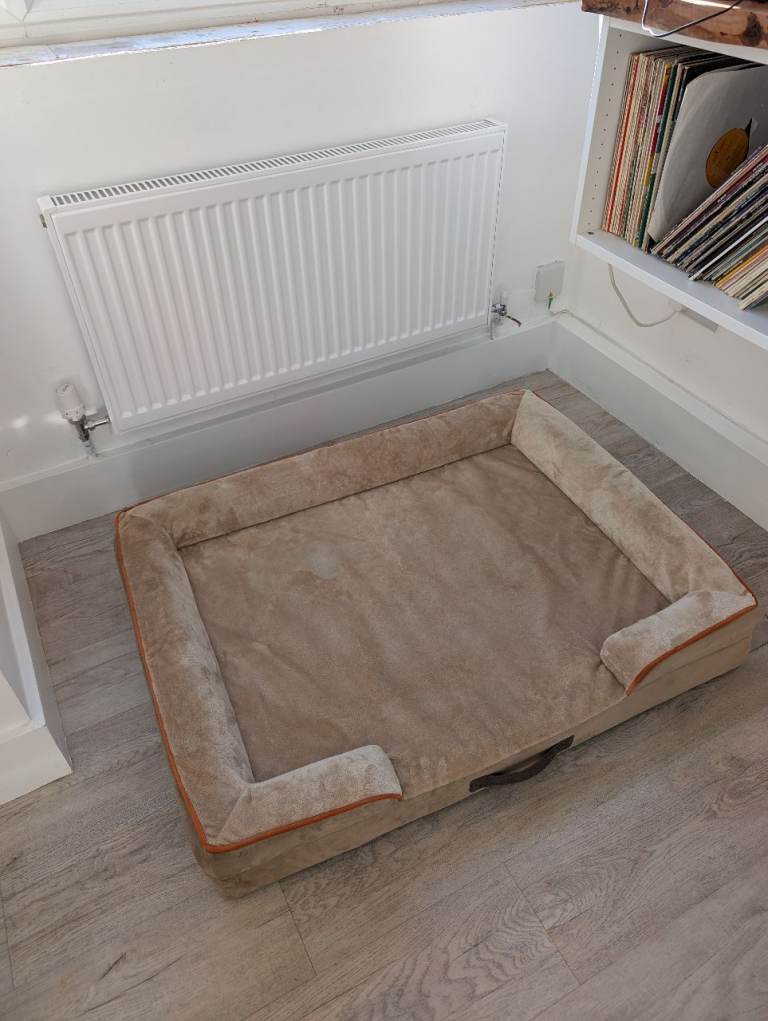 XL dog bed