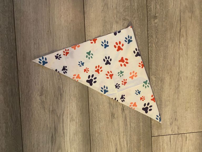 New Puppy Travel Pack