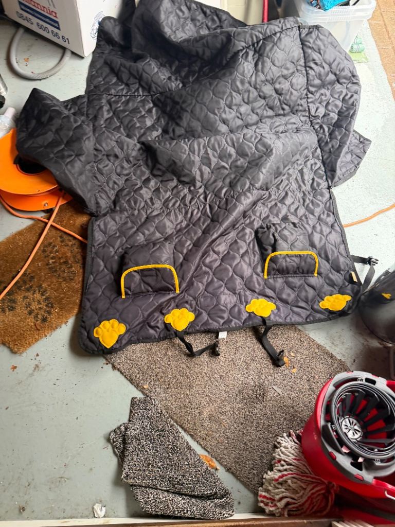 Doggy car seat protector 
