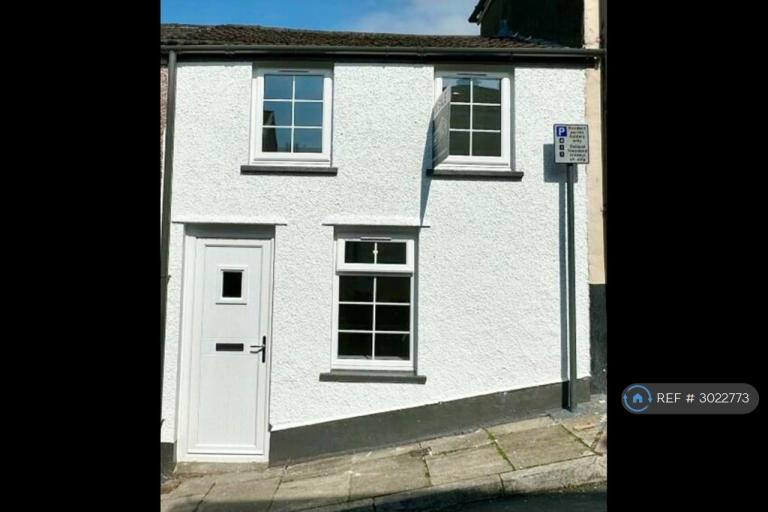1 bedroom house in Lower Edward Street, Merthyr Tydfil, CF47 (1 bed) (#3022773)