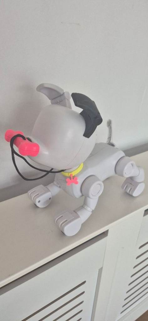 Dog E toy with box