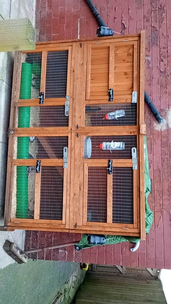 Rabbits.hutch 