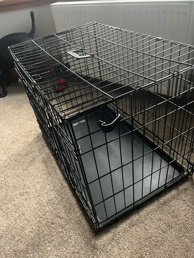 Kong Dog Cage