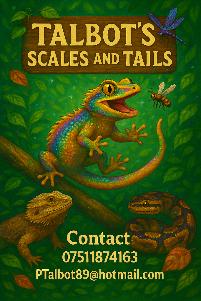 Reptile and invertebrate experience 