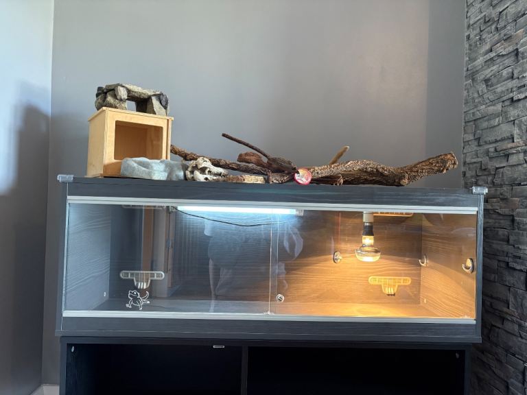 Vivexotic Vivarium reptile/snake tank large grey 