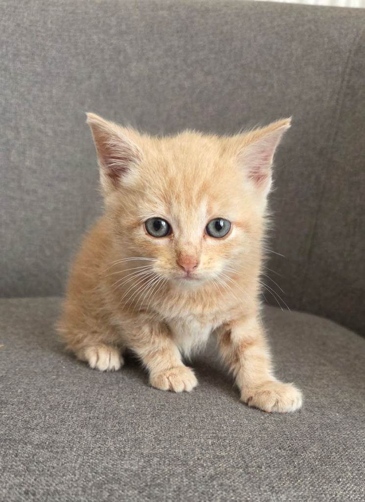 A beautiful boy 