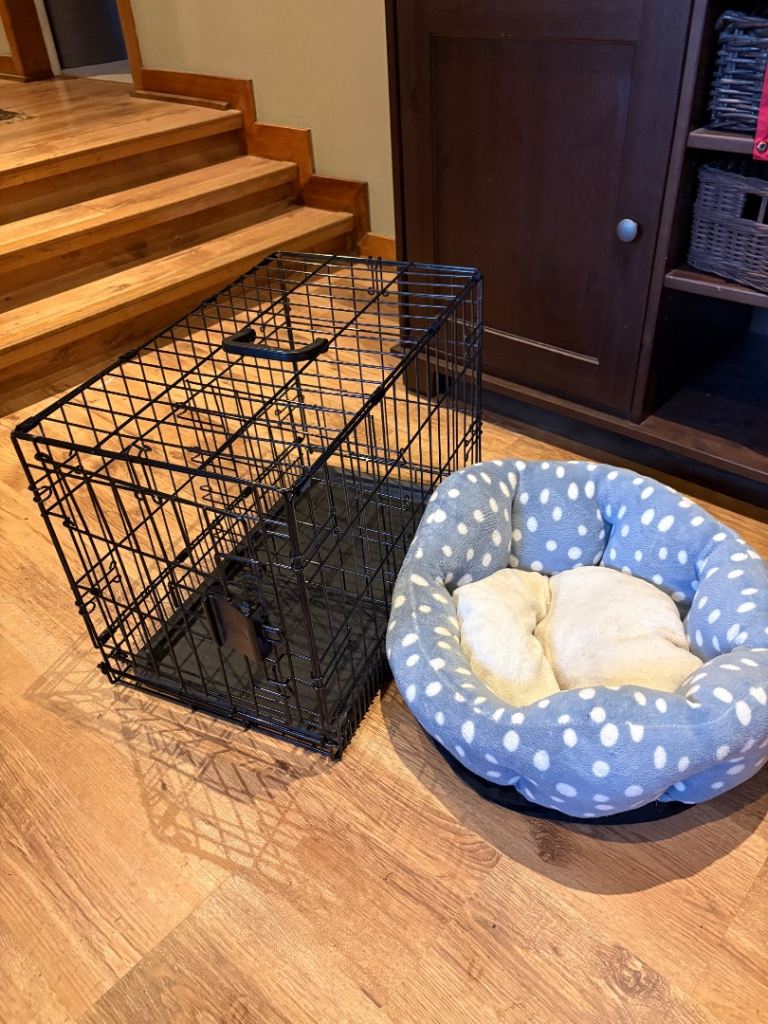 Small crate and Bed for cat or dog