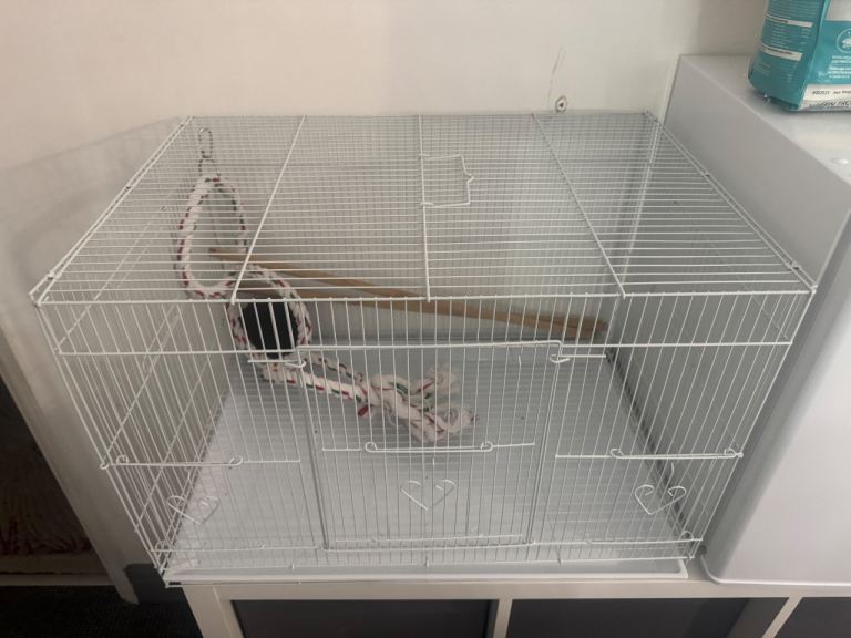 Bird Cage, Accessories, food and many more