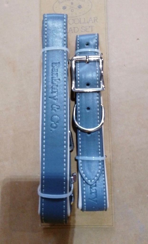 Dog collar and lead set