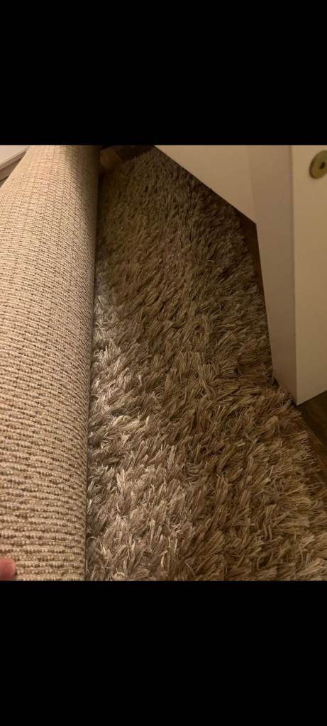 John Lewis Rhapsody Rug rrp £380 230Lx160W