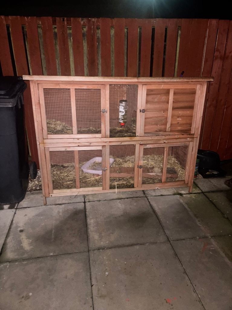 Guinea pig/rabbit cage 