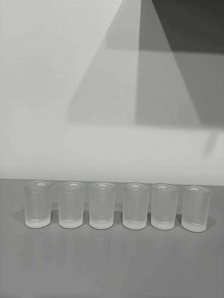 Brand new 6 frosted Labelled Jägermeister shot glasses 