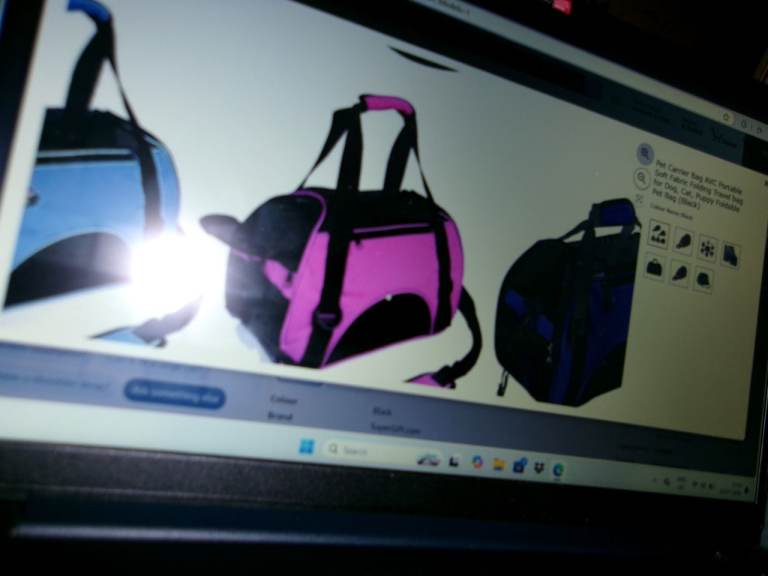 Pet carrier 
