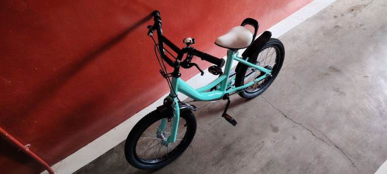 16 Inch Kids Bike for 4-8 Years Old Kids, Universal Bicycle Beginner Bike for Boys Girls with Bell
