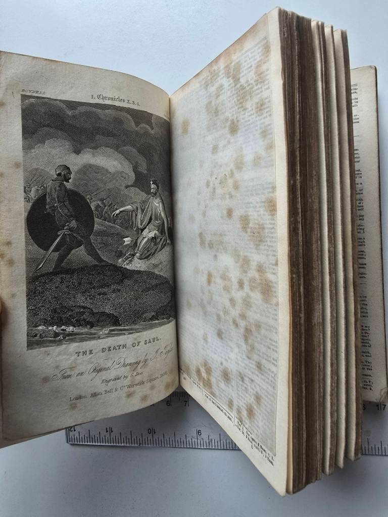 1836 Antique Georgian Holy Bible KJV Authorised Version w/  Illustrations - 189 Years Old