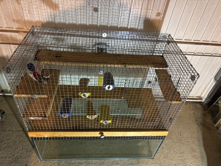 Cage / Rat cage 