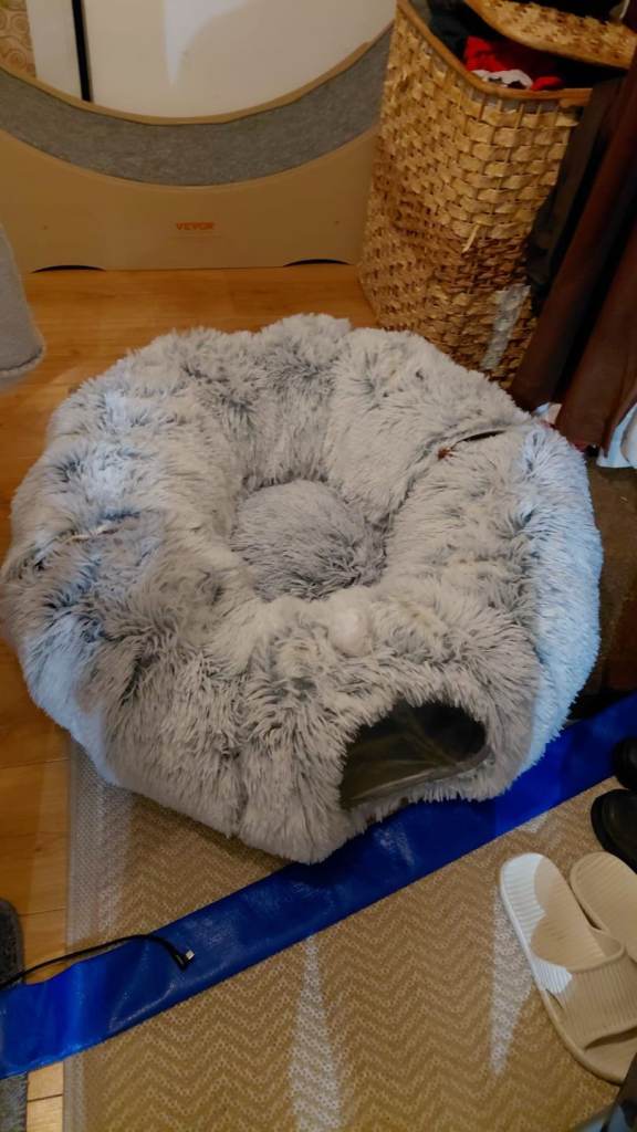 Cat tunnel bed