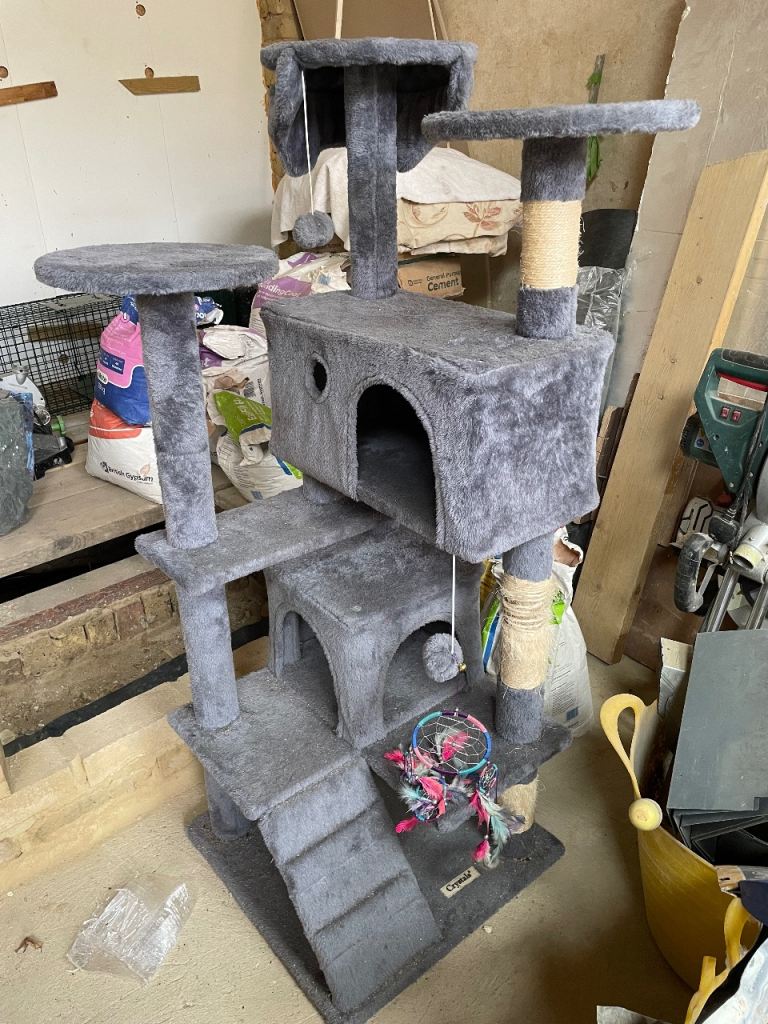 Free Cat Tree/ Scratcher 
