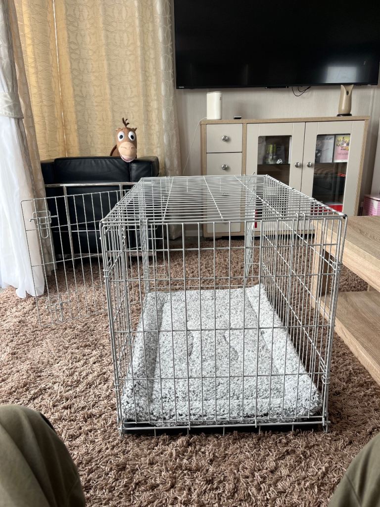 Dog Cage