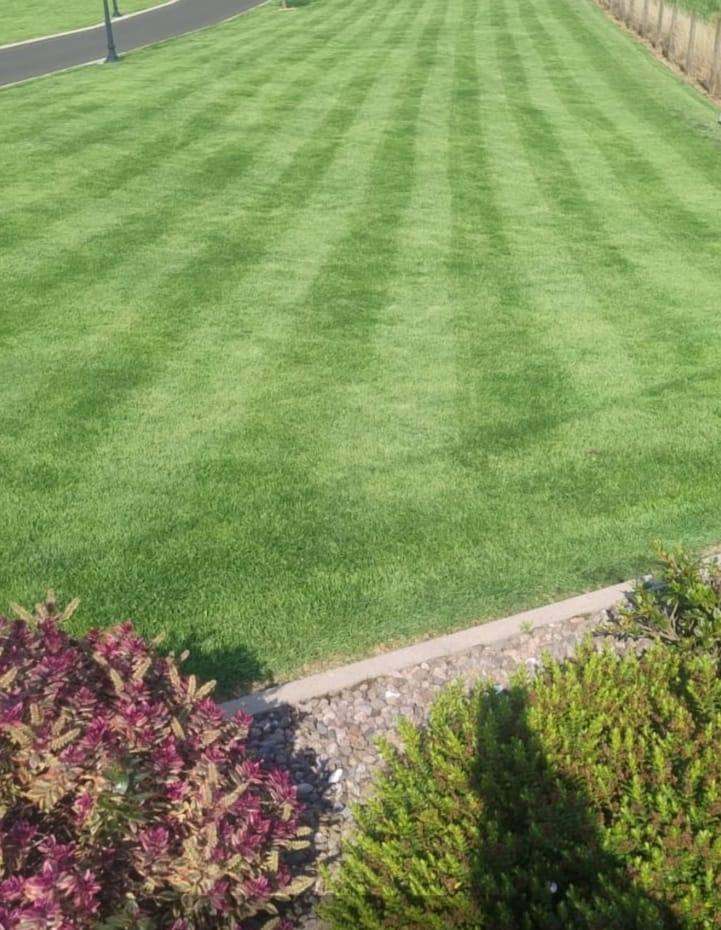 Maintenance and Gardening services 