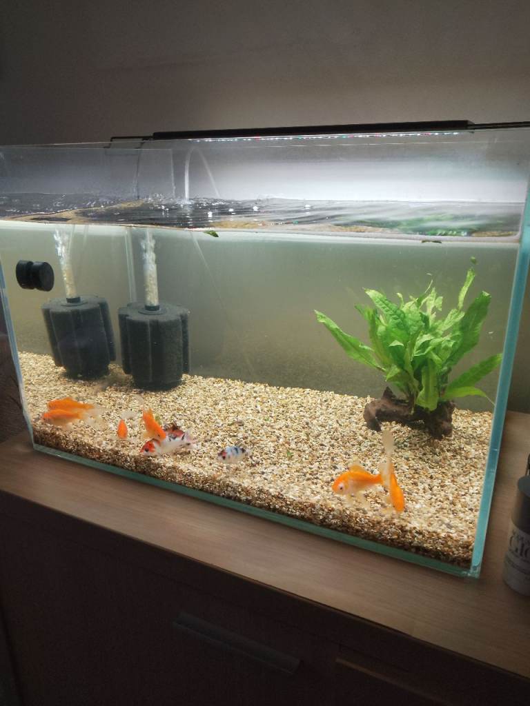 Aquarium Tank - 60cm Ultra Clear Glass Fish Tank - 90L