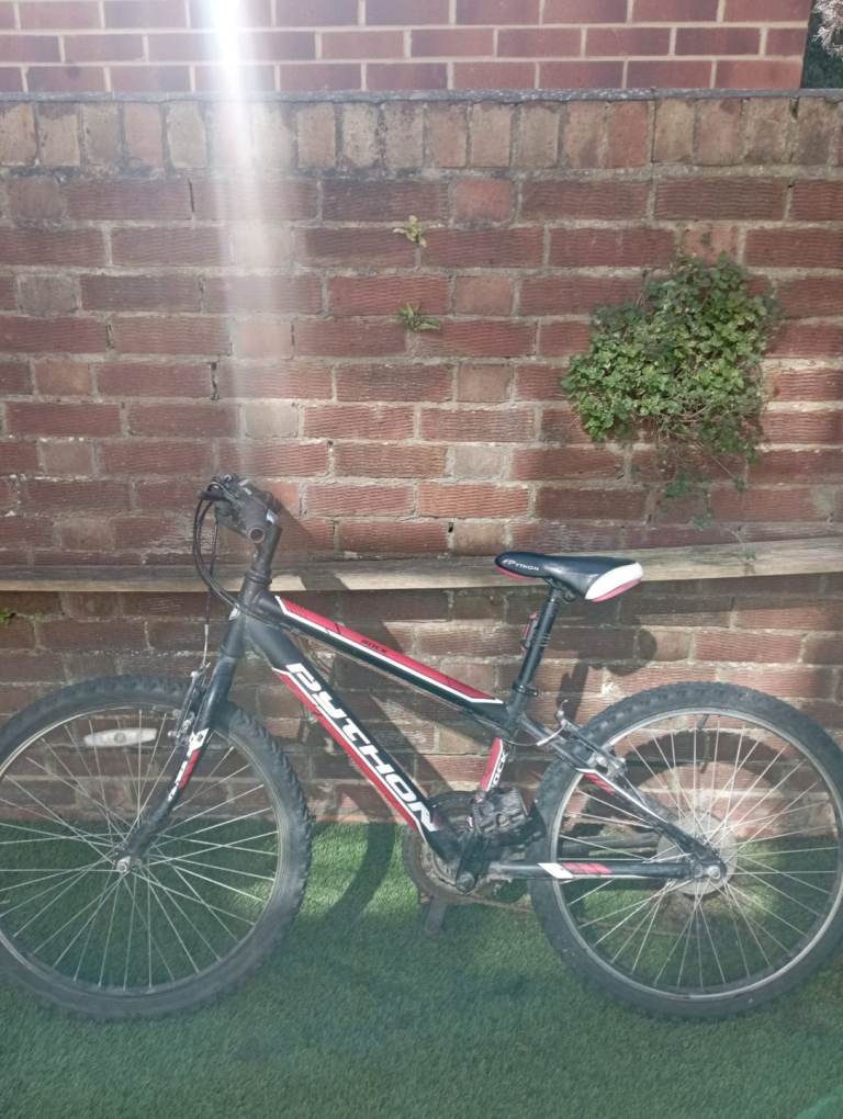 Python bike 24 inch wheels 