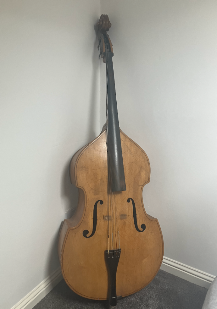 Double Bass Antique / Restoration Project