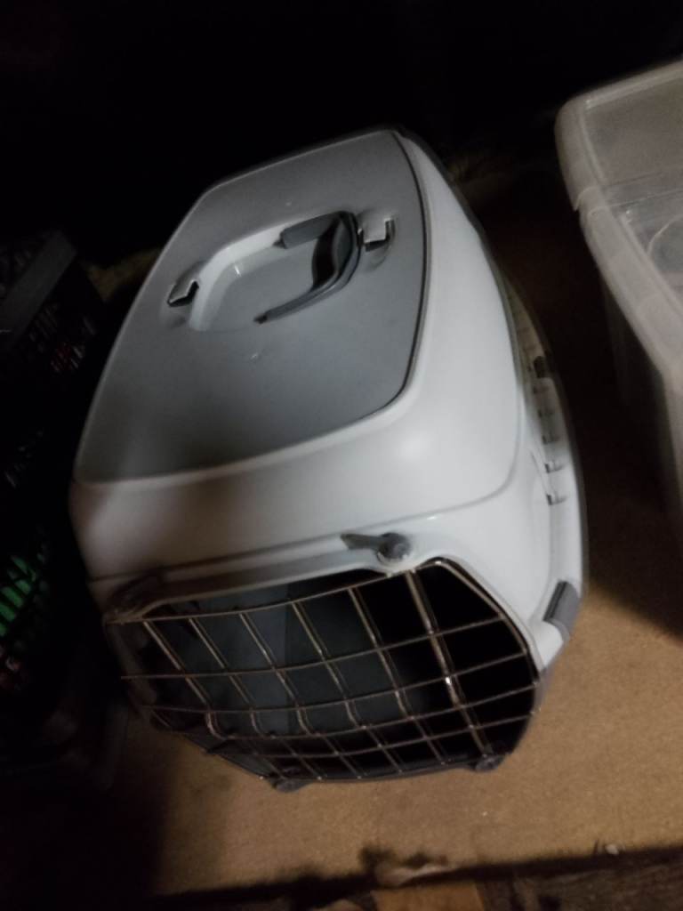 FREE cat or small dog carrier