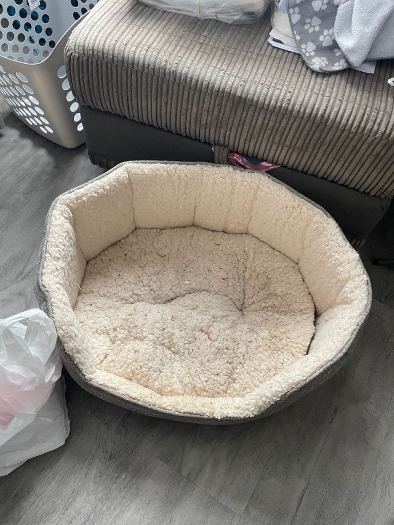 Small dog bed