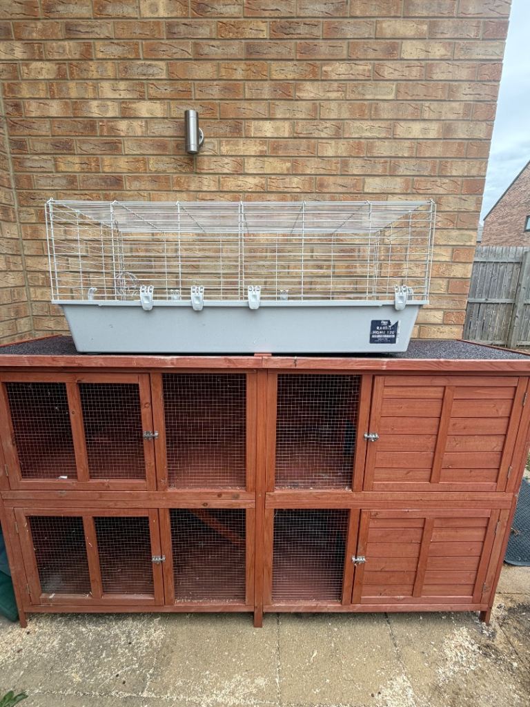 Rabbit hutch and cage