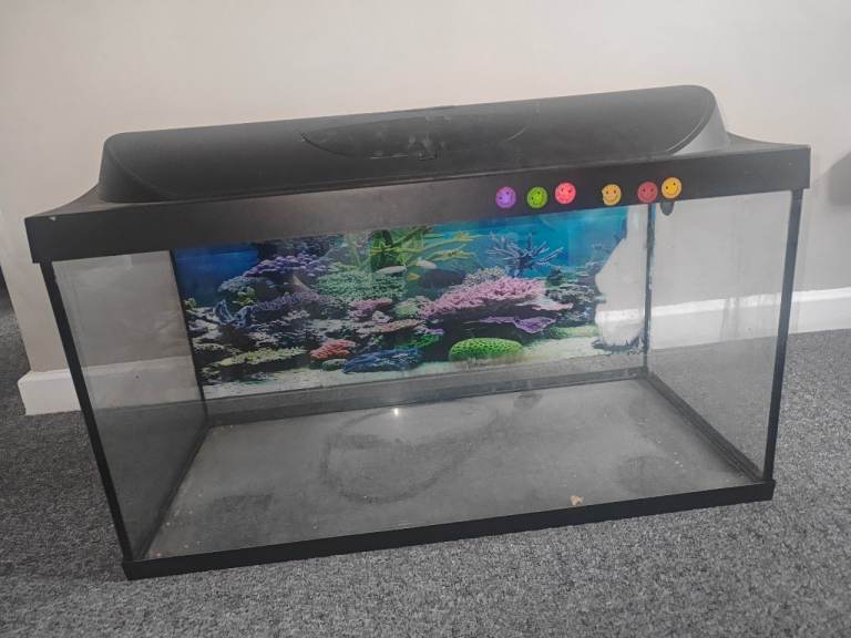 Fish tank 