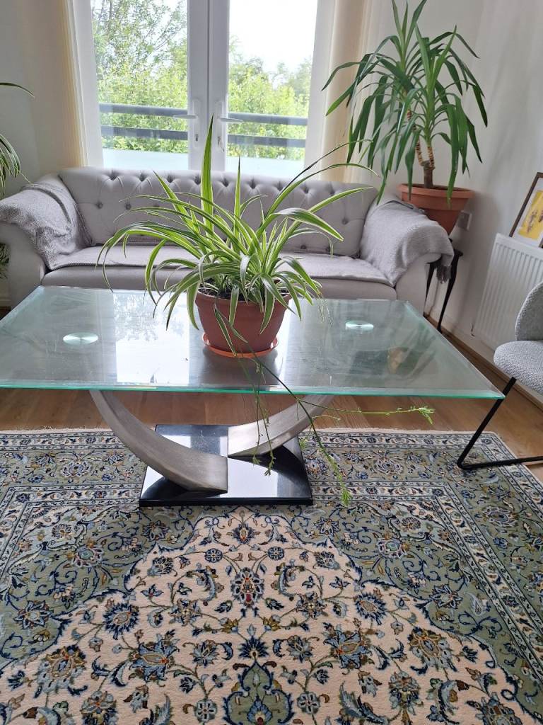 Spider plant 