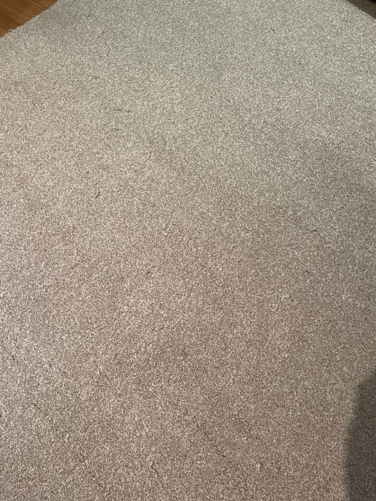 Beige Carpet Remnant – Good Condition