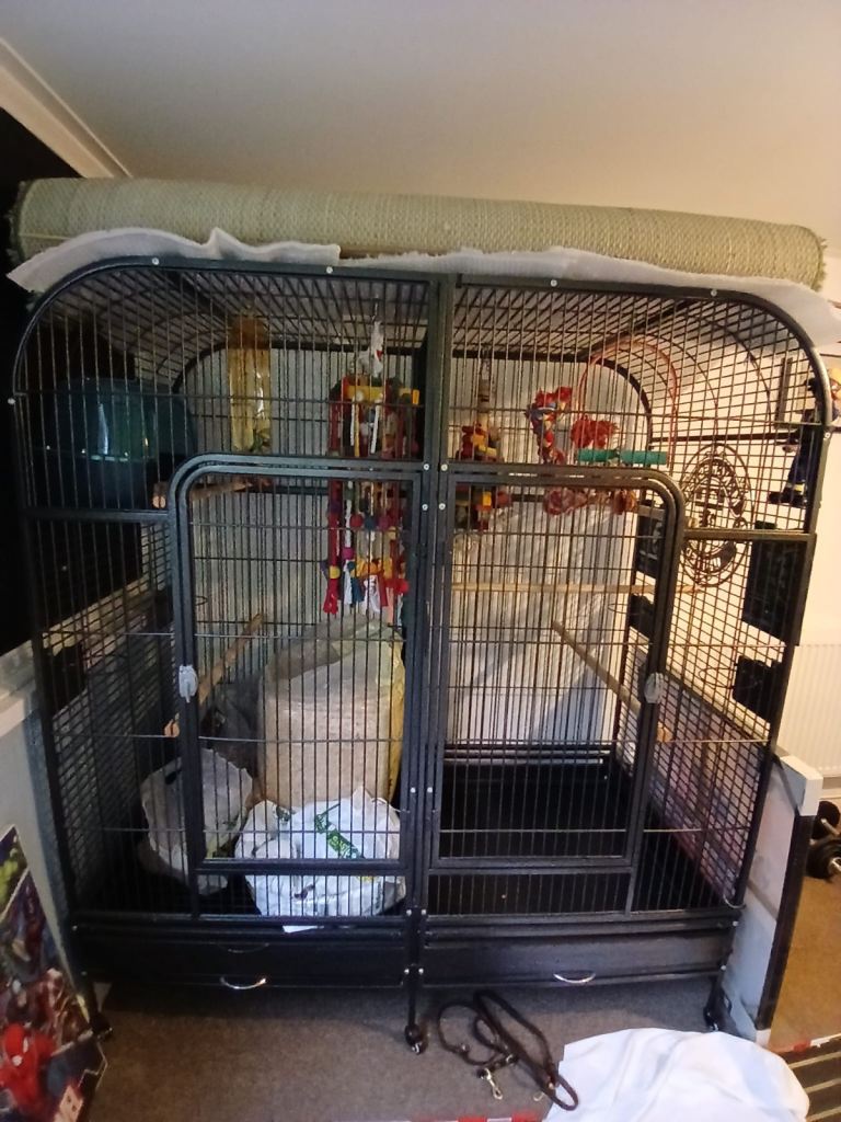 Large Bird Cage - Endeavour Cage