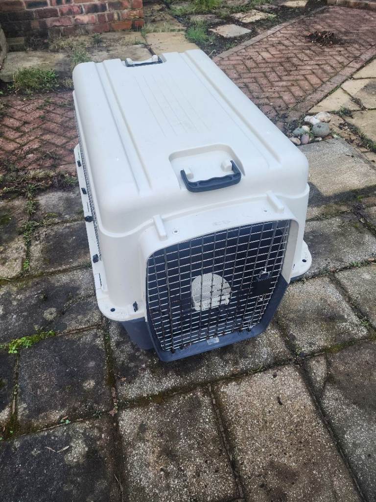 Large dog crate 