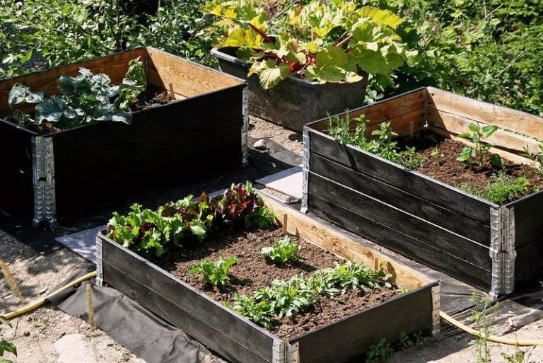Pallet collars – Raised flower beds