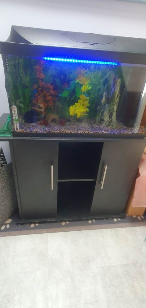 Tetra 105 litre fish tank