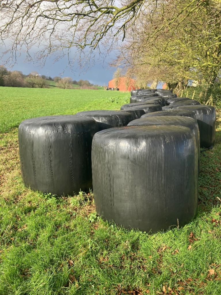 Round bale silage