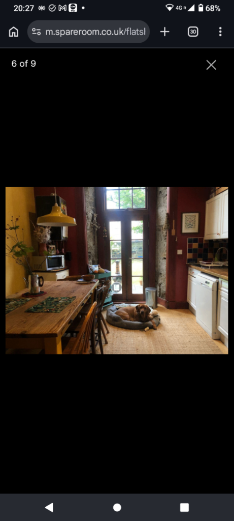 Cleaning help needed 