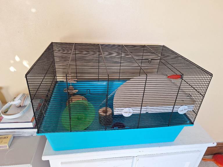 XL hamster cage plus accessories - free