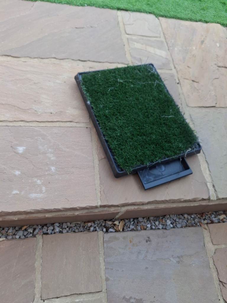 Toilet training tray