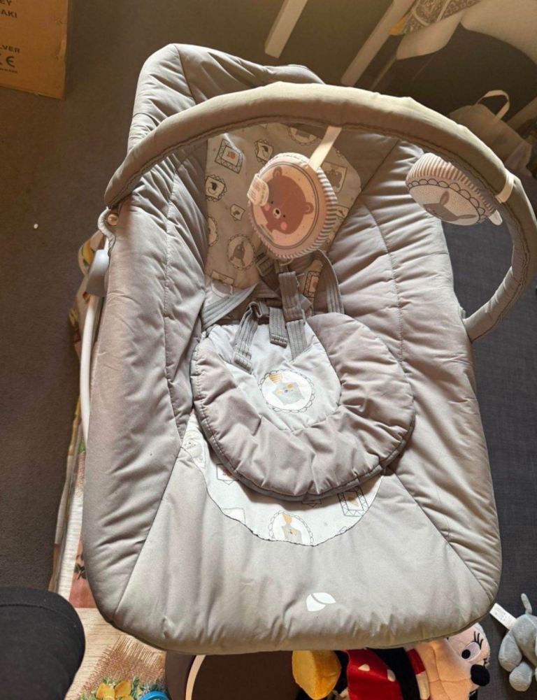 Baby Swing